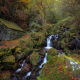 moss, autumn, forest, nature, stream, waterfall, france, house wallpaper