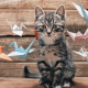 animals, cat, kittens, origami, birds, pet wallpaper