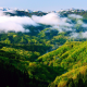 mountain, hill, trees, forest, mist, photography, landscape, nature wallpaper