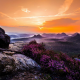 landscape, nature, mist, sunset, wildflowers, valley, forest, mountain, sky, colorful wallpaper