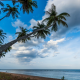 Sri Lanka, nature, landscape, palm trees, beach, tropical, sea, clouds, sunrise, water wallpaper