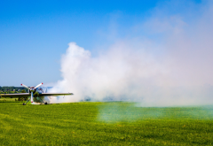 airplane, smoke, field, grass, aircraft, avia wallpaper
