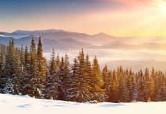 sun rays, snow, snowy peaks, mountains, forests, winter, clear skies, mist wallpaper